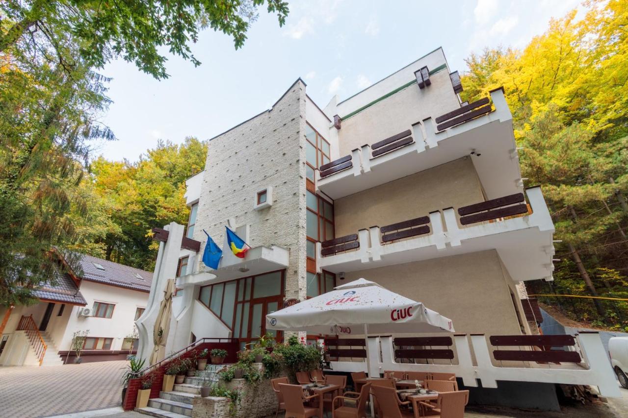 Former Ceausescu'S Vila Crizantema Băile Govora Exterior photo